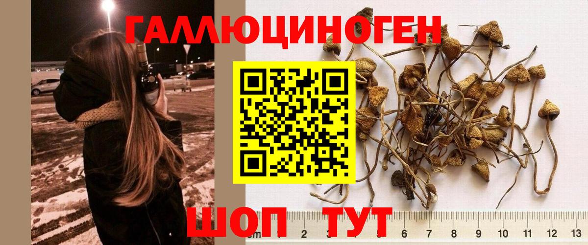 Псилоцибиновые грибы MAGIC MUSHROOMS Алексин